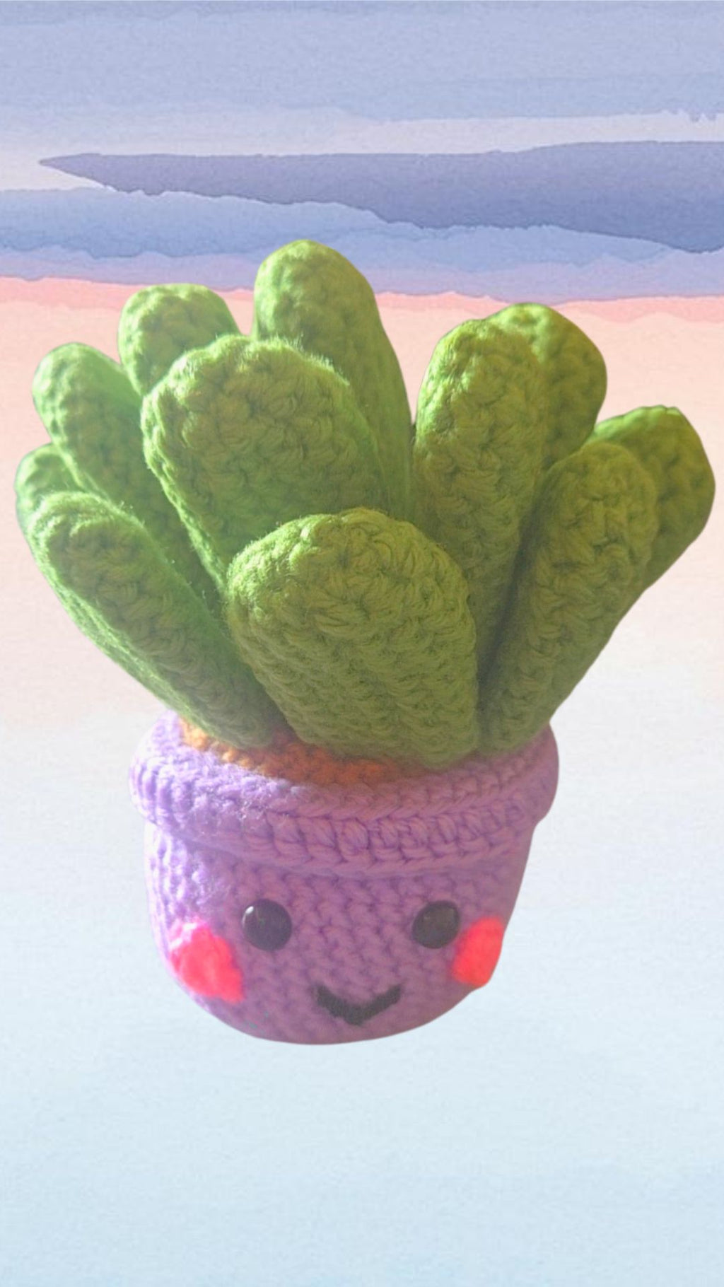 Cutie Plant