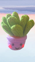 Cutie Plant