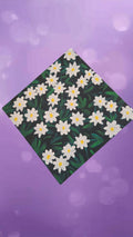Daisy Field Mini Canvas- 4x4