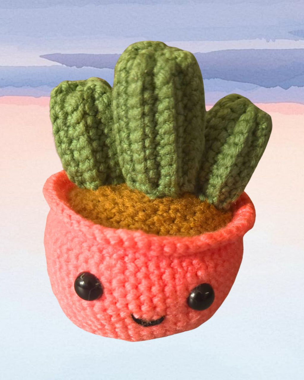 Pinkie- Cutie Cactus