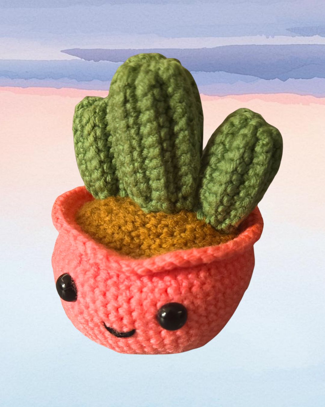 Pinkie- Cutie Cactus